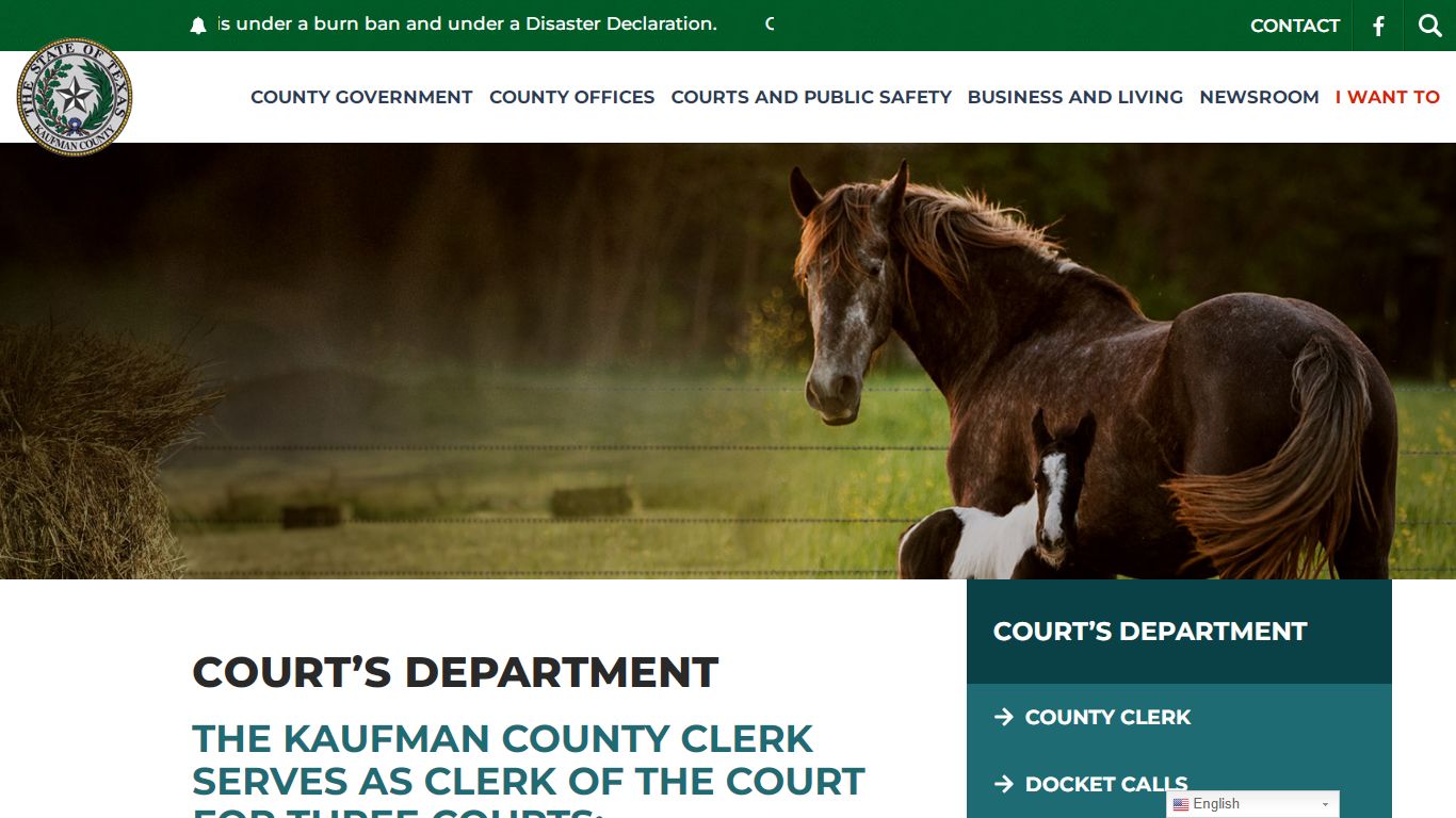 Court's Department | County Clerk - Home | Kaufman County